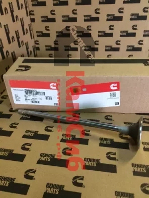 Клапан впускной QSX15  3685996