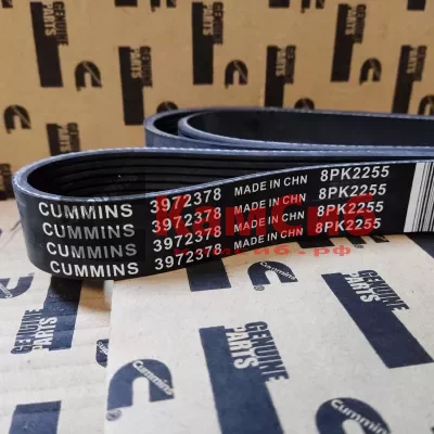 Ремень 8PK2255