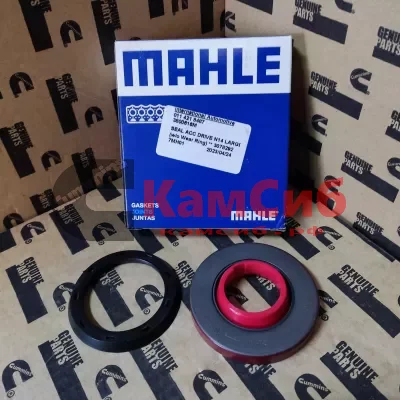 Набор уплотнений N14  3800616